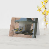 Goldfinch/Beifall Karte (Gelbe Blume)