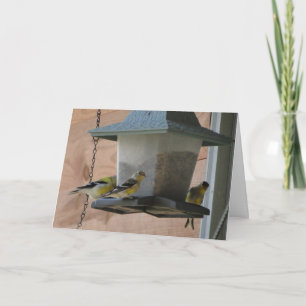 Goldfinch/Beifall Karte