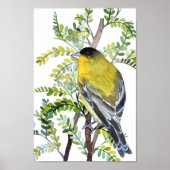 Goldfinch Bird in der Wüste Wasserfarben Kunst Poster (Vorne)