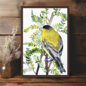 Goldfinch Bird in der Wüste Wasserfarben Kunst Poster