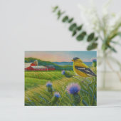 Goldfinch Bird Thistles Summer Farmcolor Art Postkarte (Stehend Vorderseite)