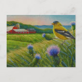 Goldfinch Bird Thistles Summer Farmcolor Art Postkarte (Vorderseite)