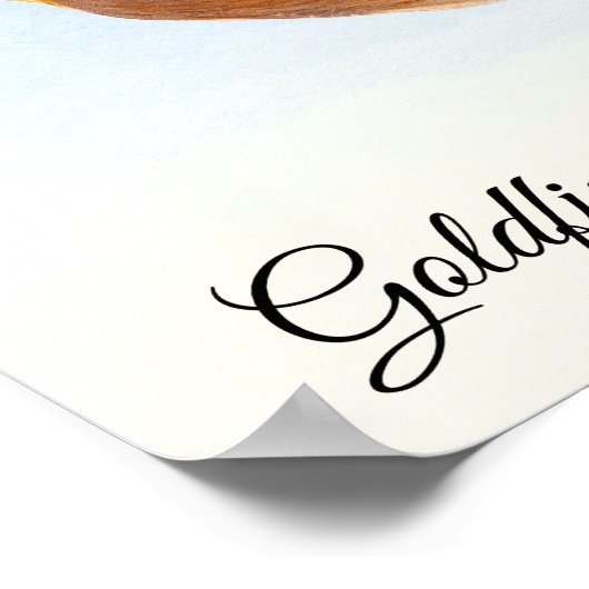 Goldfinch Bird Wasserfarbenmalerei Poster (Ecke)