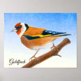 Goldfinch Bird Wasserfarbenmalerei Poster