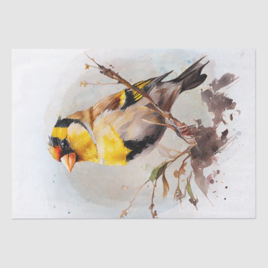 Goldfinch Bird Watercolor Seidenpapier (Vorderseite)