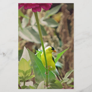 Goldfinch Briefpapier