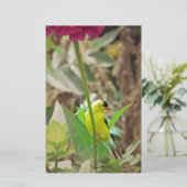 Goldfinch Briefpapier (Stehend Vorderseite)