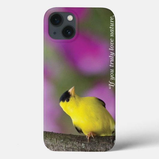 Goldfinch Case-Mate iPhone Hülle (Rückseite)