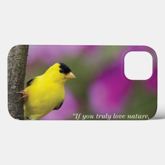 Goldfinch Case-Mate iPhone Hülle (Rückseite (Horizontal))
