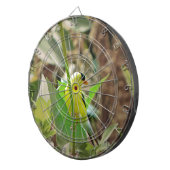 Goldfinch Dartscheibe (Vorderseite rechts)