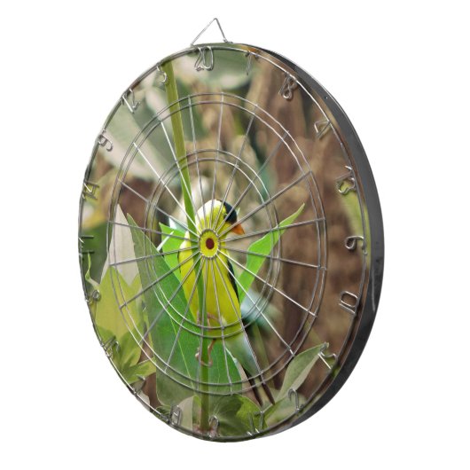 Goldfinch Dartscheibe (Vorderseite rechts)