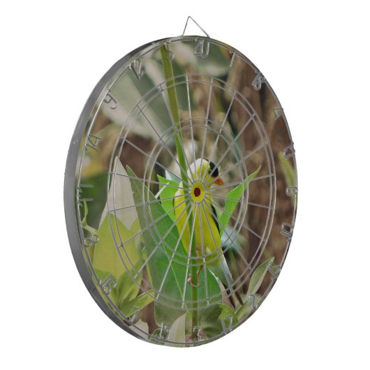 Goldfinch Dartscheibe (Vorderseite Links)