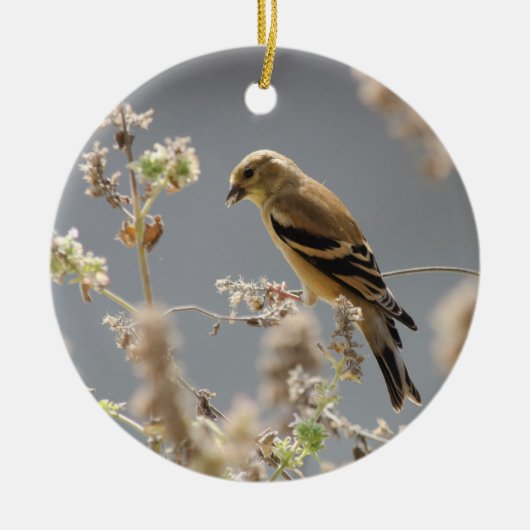 Goldfinch der Wiesenminze Keramik Ornament (Vorne)