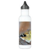 Goldfinch Edelstahlflasche (Links)