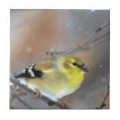 Goldfinch Fliese (Vorderseite)