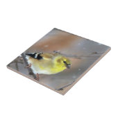 Goldfinch Fliese (Seite)