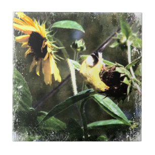 Goldfinch Fliese
