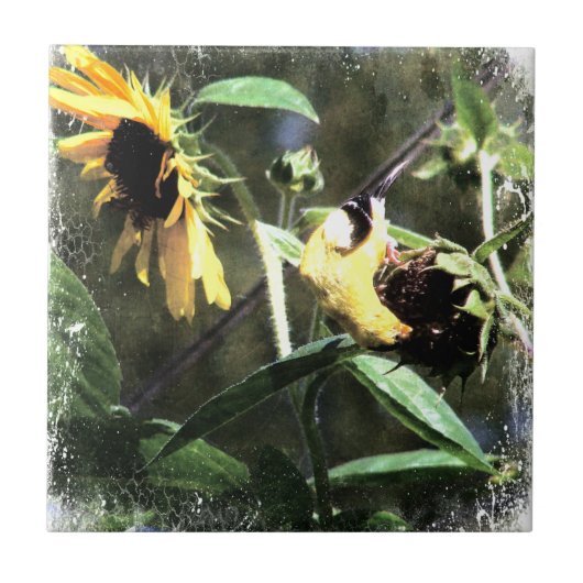 Goldfinch Fliese (Vorderseite)