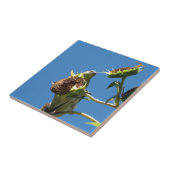 Goldfinch Fliese (Seite)