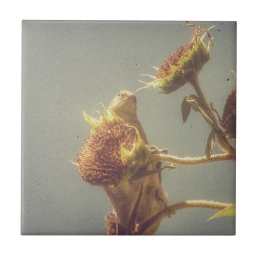 Goldfinch Fliese (Vorderseite)