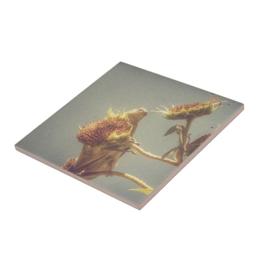 Goldfinch Fliese (Seite)