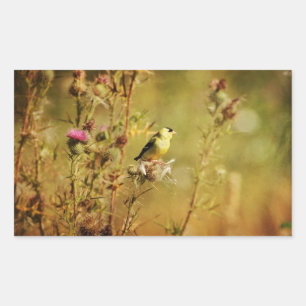 Goldfinch-Foto Rechteckiger Aufkleber