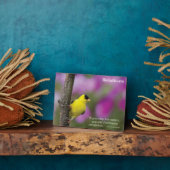 Goldfinch Fotoplatte (Seite)