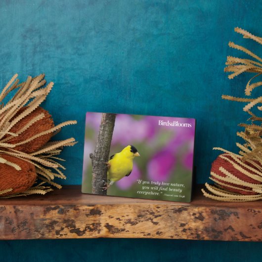 Goldfinch Fotoplatte (Seite)