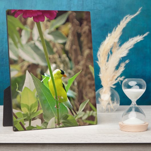 Goldfinch Fotoplatte (Seite)