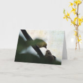 Goldfinch Füttre Baby, Geburtstag Karte (Gelbe Blume)