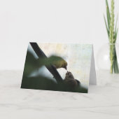 Goldfinch Füttre Baby, Geburtstag Karte (Vorderseite)