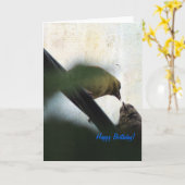 Goldfinch Füttre Chick Happy Geburtstag Karte (Gelbe Blume)