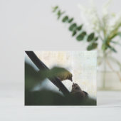 Goldfinch Füttre Chick Postkarte (Stehend Vorderseite)