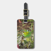 Goldfinch Gepäckanhänger (Vorderseite vertikal)