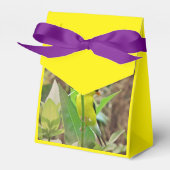 Goldfinch Geschenkschachtel (Vorderseite)