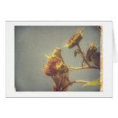 Goldfinch Grunge (Vorderseite (Horizontal))