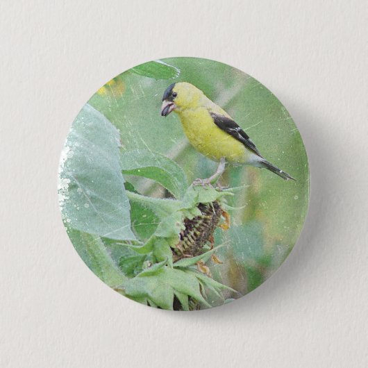 Goldfinch Grunge Button (Vorderseite)