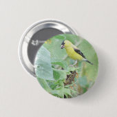 Goldfinch Grunge Button (Vorne & Hinten)