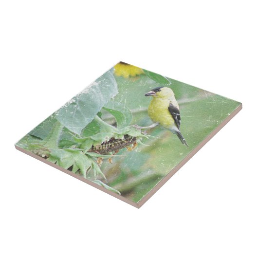 Goldfinch Grunge Fliese (Seite)