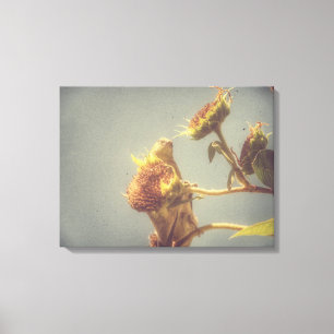 Goldfinch Grunge Leinwanddruck