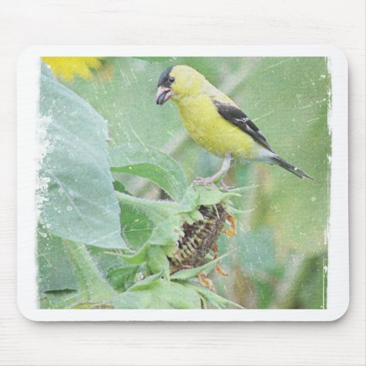 Goldfinch Grunge Mousepad (Vorne)