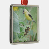 Goldfinch Grunge Silbernes Ornament (Rechts)