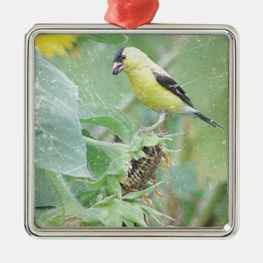 Goldfinch Grunge Silbernes Ornament (Vorne)
