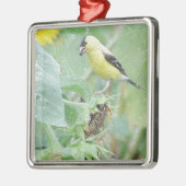 Goldfinch Grunge Silbernes Ornament (Links)