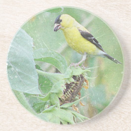 Goldfinch Grunge Untersetzer (Vorne)