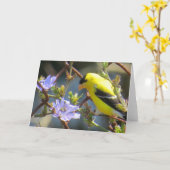 Goldfinch-Grußkarte Karte (Gelbe Blume)