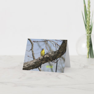 Goldfinch, hell und froh karte