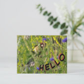 Goldfinch im Feld Wilde Blume HELLO Postkarte (Stehend Vorderseite)