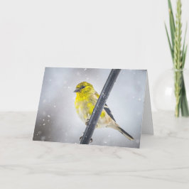 Goldfinch in the snow Folded Christmas Card Feiertagskarte