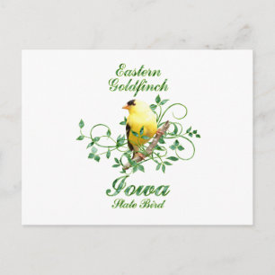 Goldfinch Iowa Staat Bird Postkarte